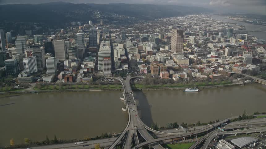 Aerial view of a metropolis by the sea