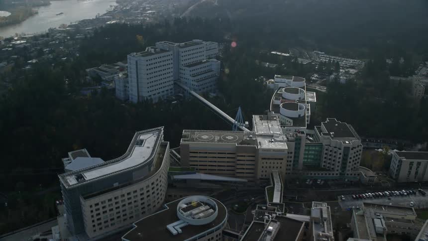 Aerial of an apartment complex surrounded by trees in the urban city