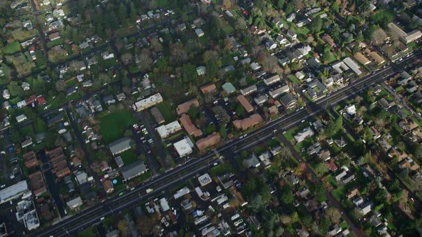 Aerial panorama of a residential city with vast vegetation