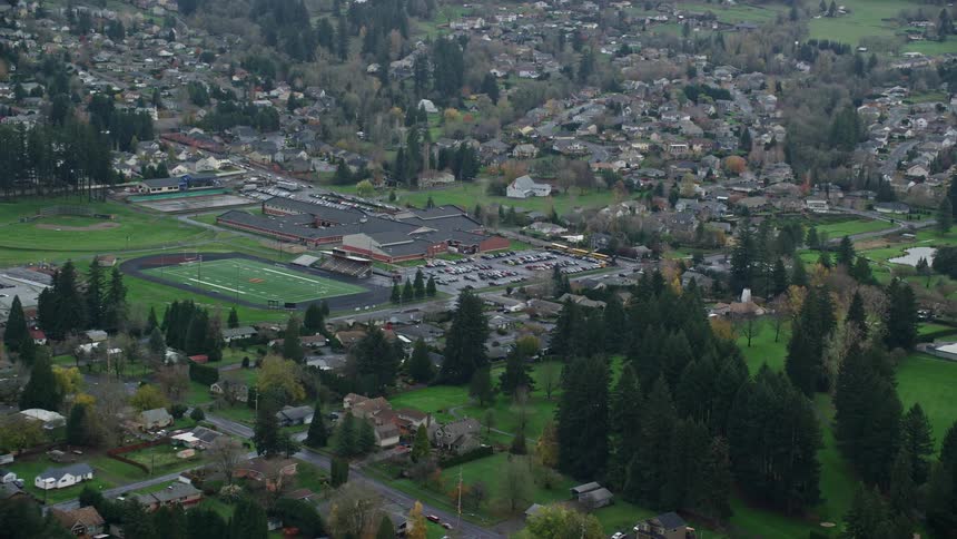 Aerial of a residential neighborhood with small dark wooden houses
