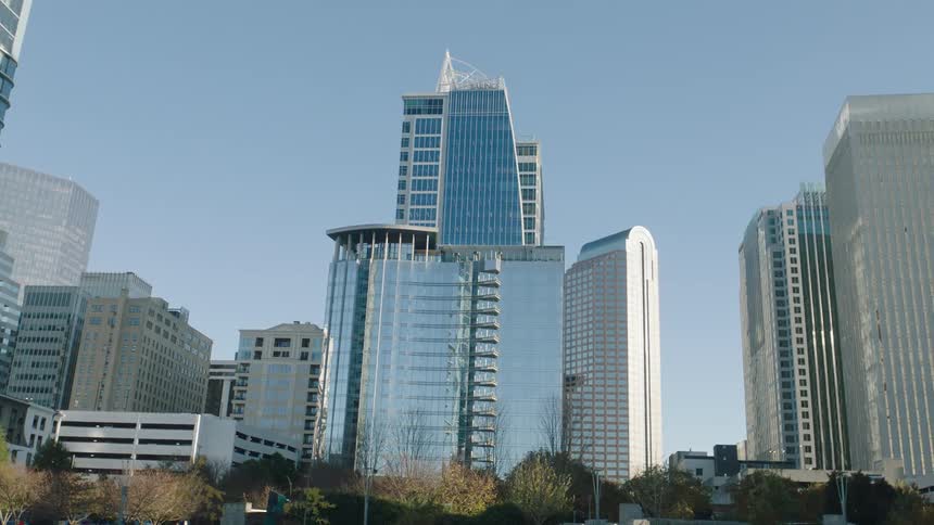 View of mirrored buildings in front of a forest in a metropolis in daylight