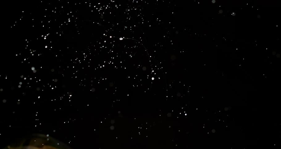 Abstract colorful bubble bursting on a black background