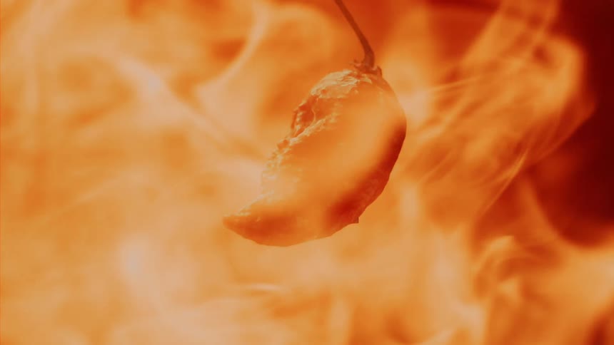 A dry pepper and a flame of fire passing through it