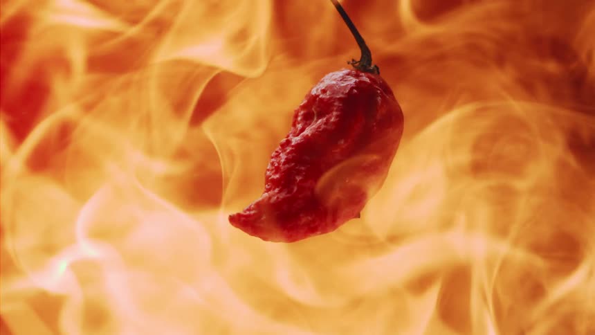 Closeup of a still life red pepper with flames passing by