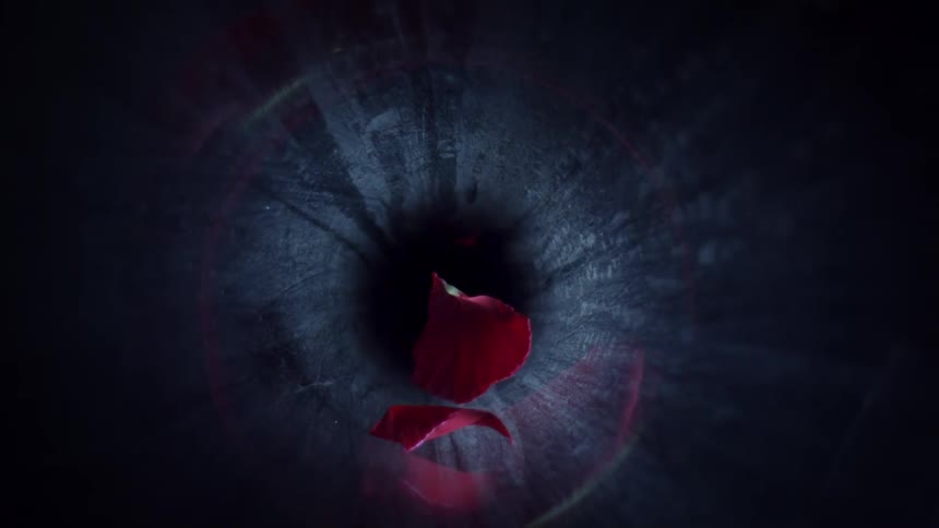 Falling rose petals reflected on the iris of an eye
