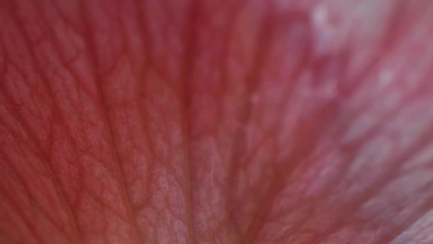 A surface of an abstract object with texture