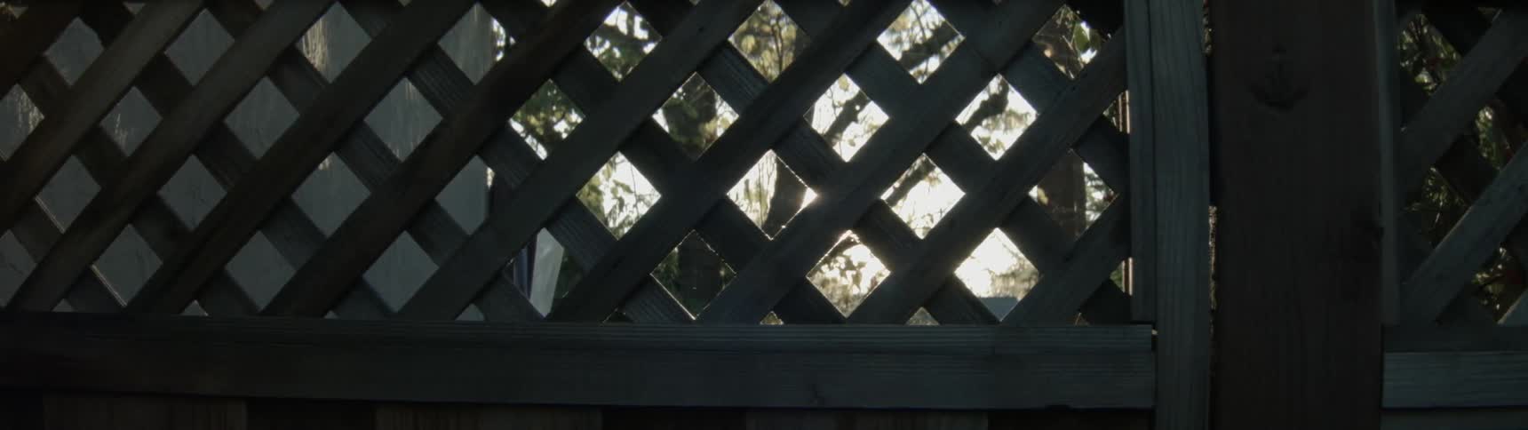Light shines through a wooden fence