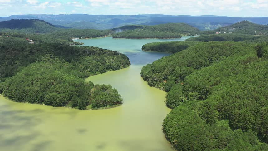 The islands are full of dense forests