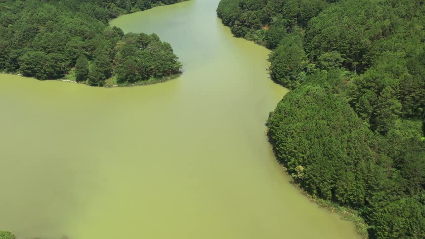 A river that has several islands with forests of very green trees