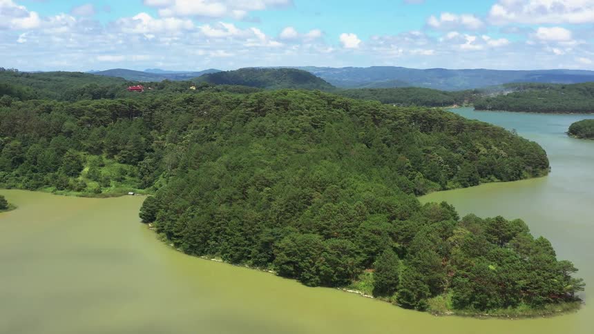Aerial panorama of a river amidst the forests