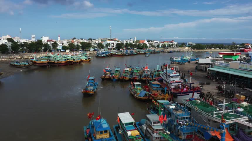 Boats on a river at the edge of a city in daylight