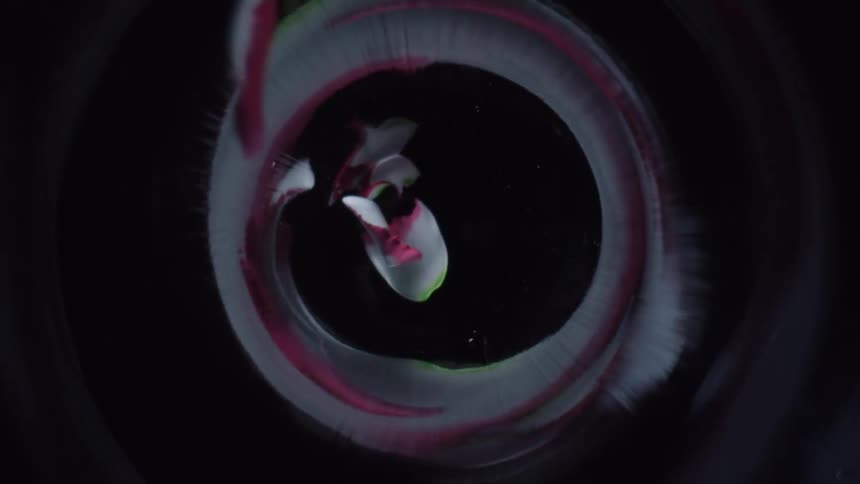 An abstract clip of petals rotating on red ink