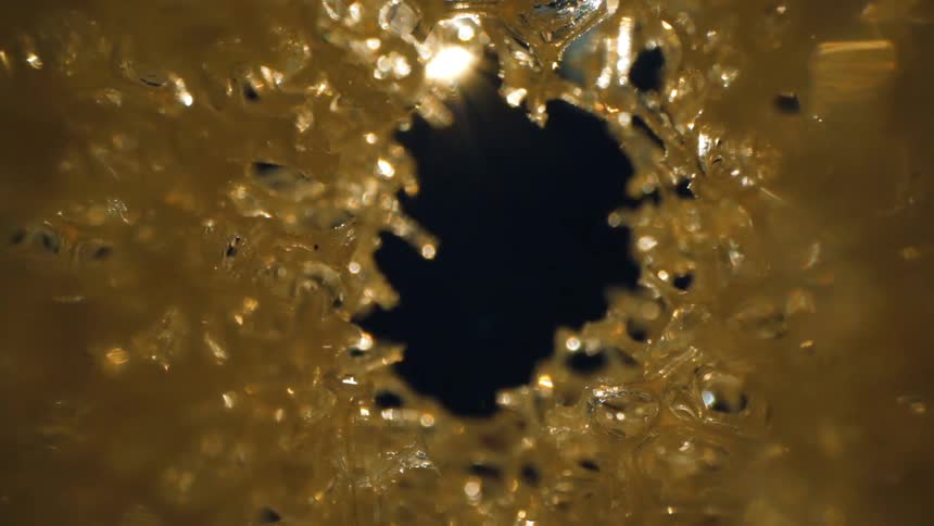 A bright light shines above a spongelike and moist material