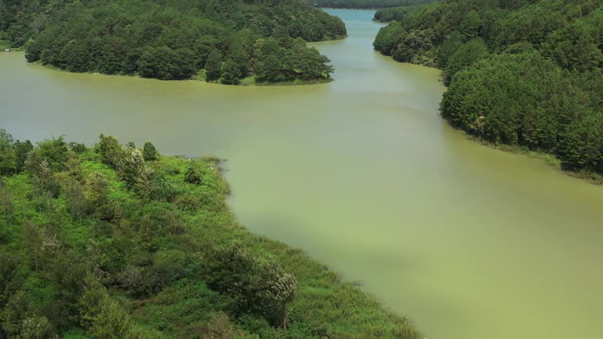 Landscape of a greenish river amid natural forested islands