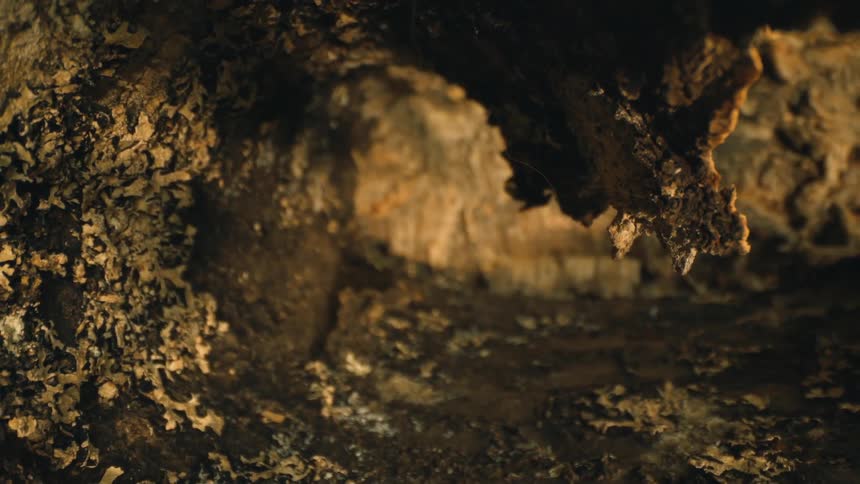 The sunlight is shining in the cave
