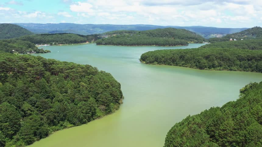 Aerial of a river surrounded by forest during a hot summer day