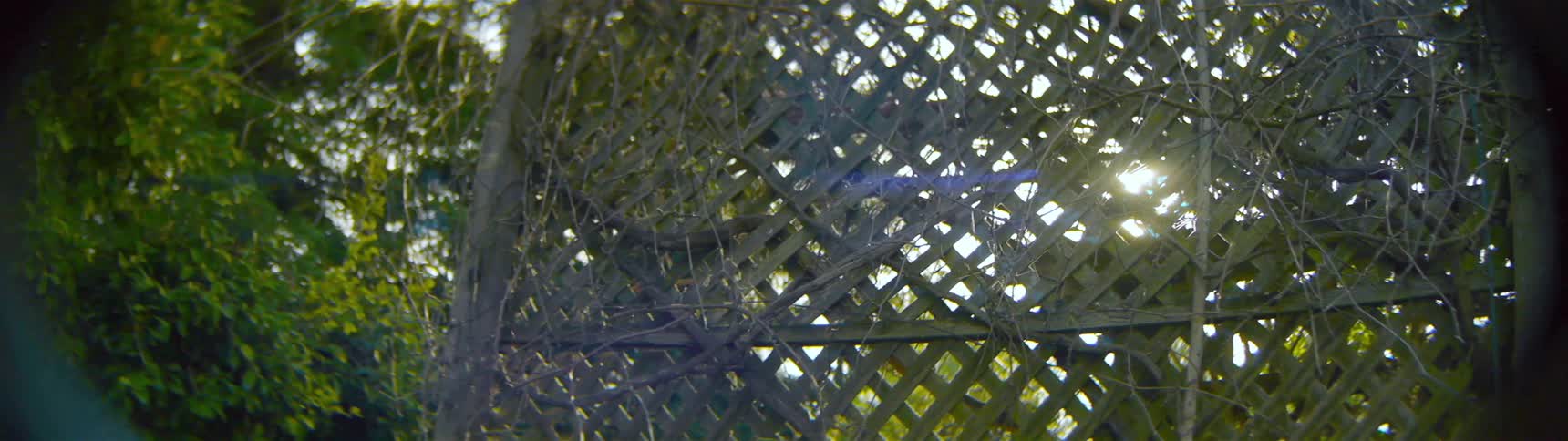 Light shines in from the holes in a fence