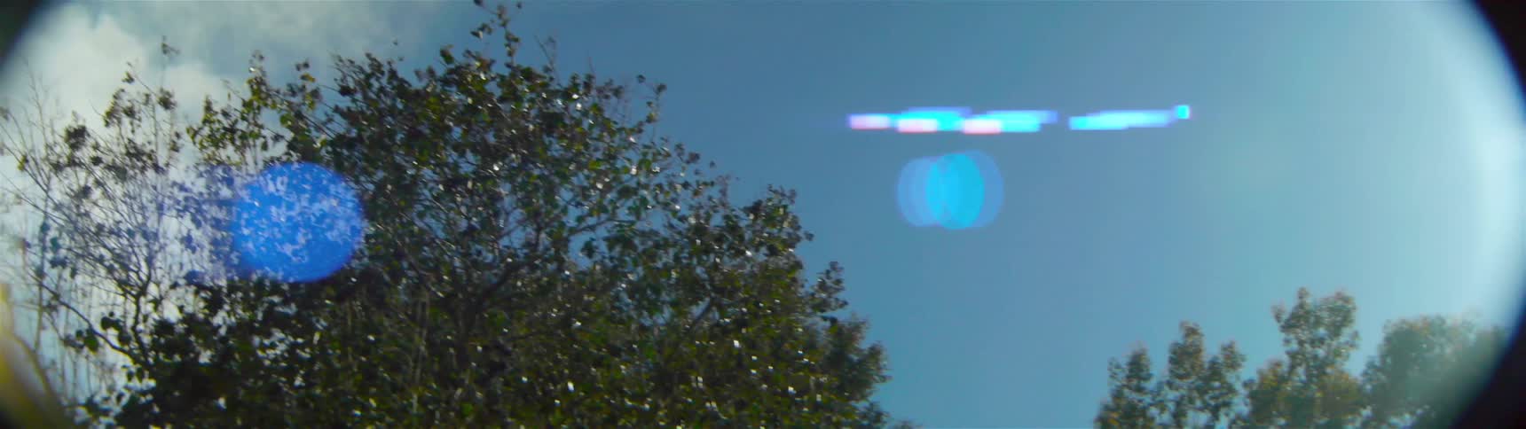The sun is shining above the trees on a clear day