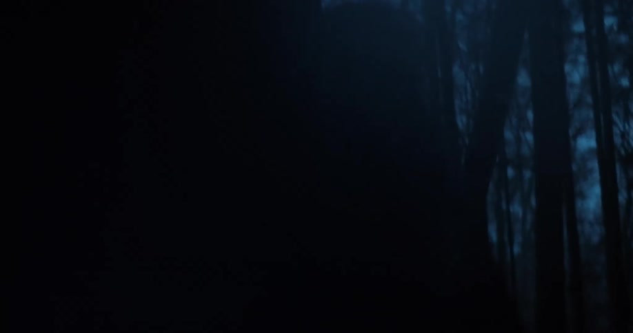 Closeup of a person walking in a forest with low lighting on a cloudy day