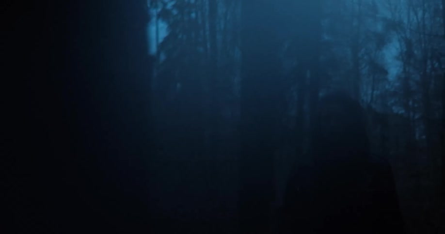 Female standing inside the forest at dawn