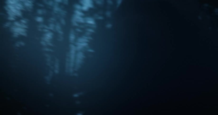 Woman walking in a forest on a gloomy and overcast day