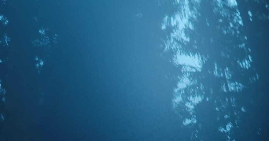 The person is surrounded by fog in the forest
