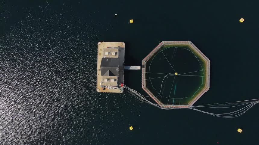 Aerial view of a fish farm on a lake