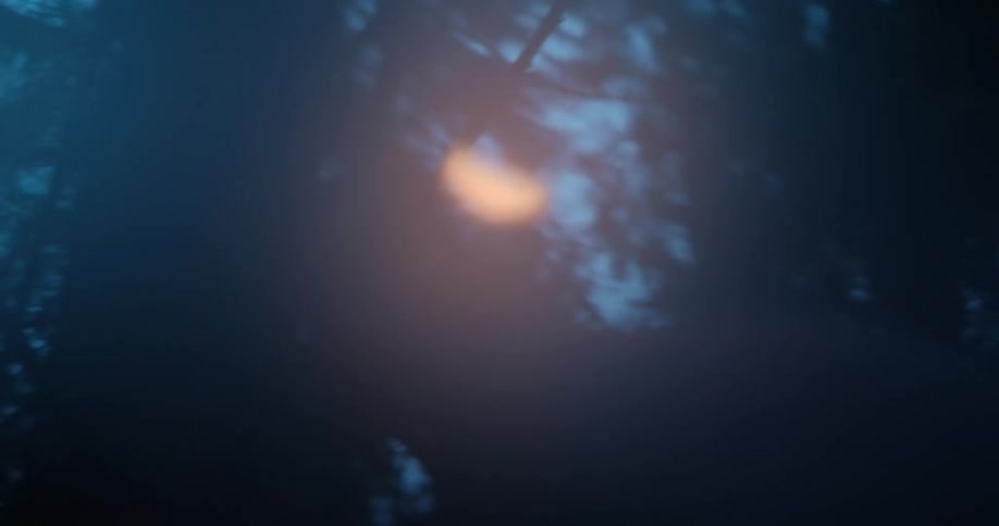 A person lights a lighter in the woods
