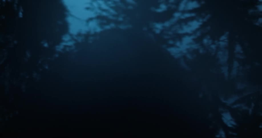 A woman is moving around in the dark