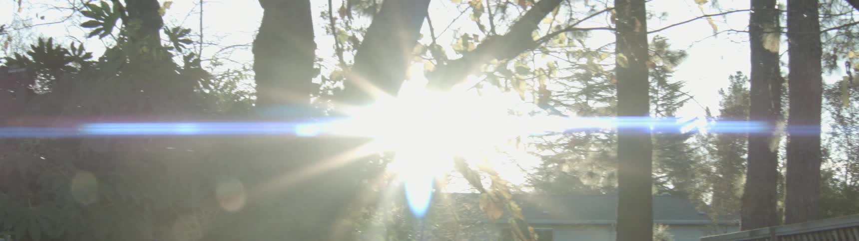 The sun is peeking in through the branches
