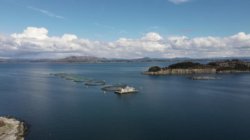 A home is floating in the water of the peninsula