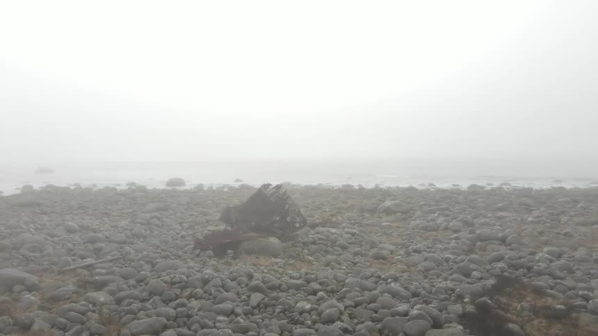 Pebble beach near the ocean