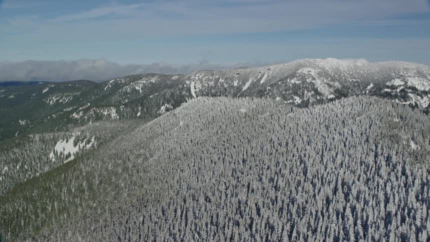 Aerial view of snow covered forest and mountain range