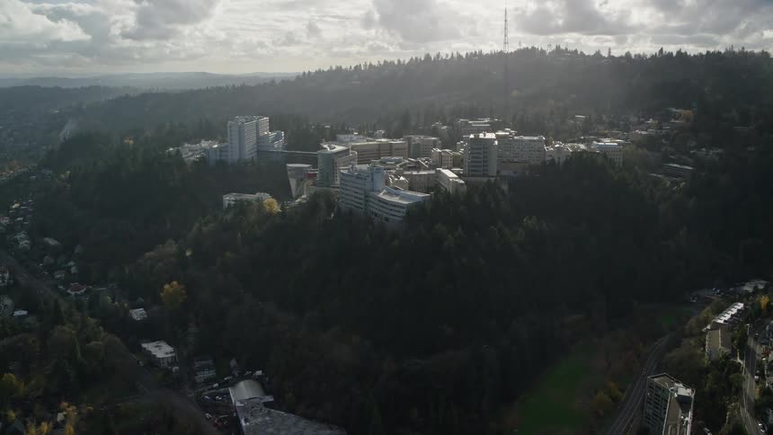A city is on the hill by the river