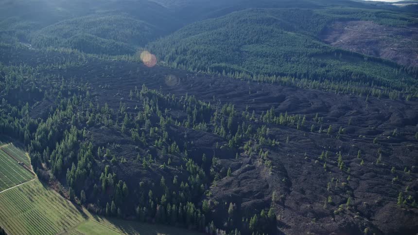 Aerial view of a coniferous forest in the rocky mountains with the sunrise reflecting on the landscape