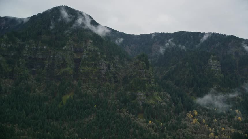 The mountain is covered with trees