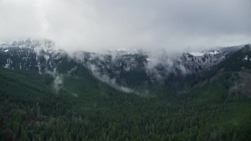 Panorama of a forest nestled in snowy mountains on a cloudy day