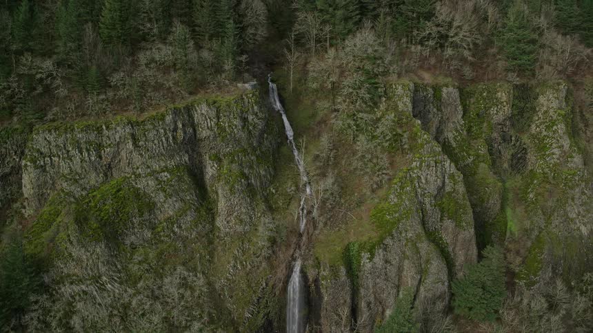 Rivers flows through forested plateau and down cliff as waterfalls