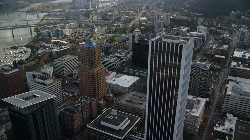 Aerial panorama of a coastal metropolis with skyscrapers and bridges