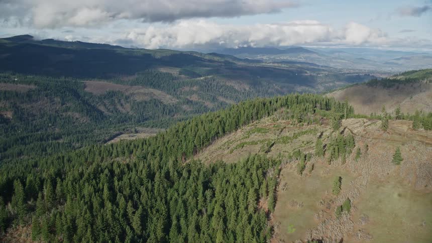 Aerial view of forests in mountains