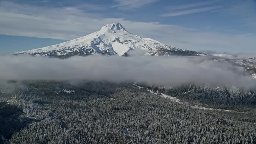 An aerial view of a snowy forest and a mountain rising above the clouds