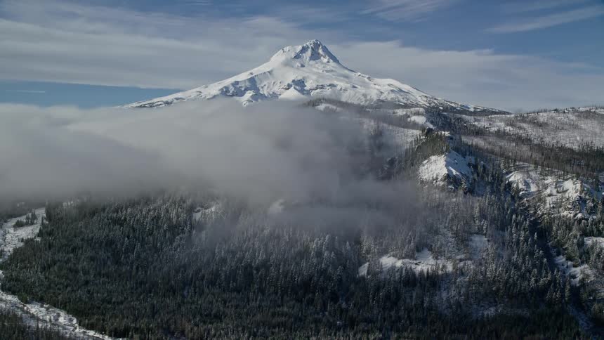 Panorama of snowcovered mountains with conifers
