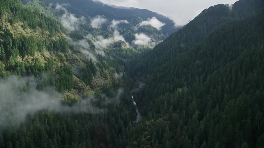 Aerial panorama of a forest beneath mountains on a cloudy day