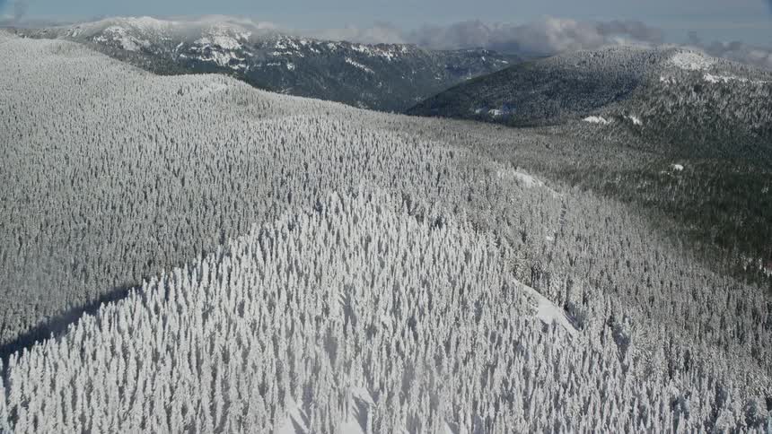 Aerial panorama of mountains with snowcovered conifers