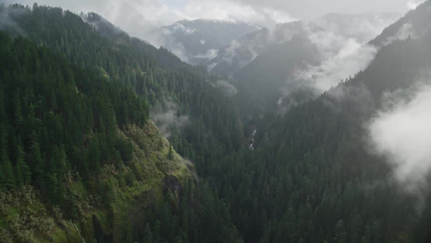 Aerial panorama of a forest beneath mountains on a cloudy day