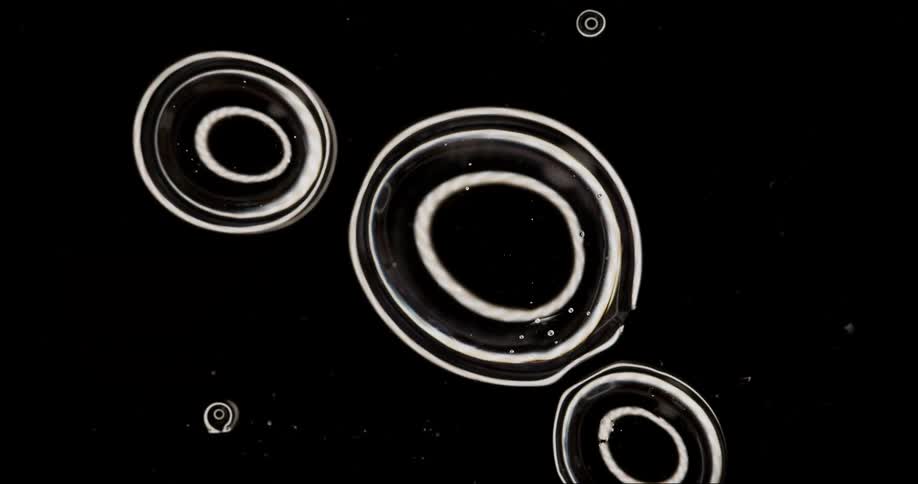 Extreme closeup of bubbles colliding