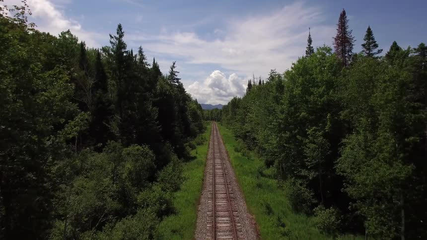 A train track through a forest on a partly cloudy day