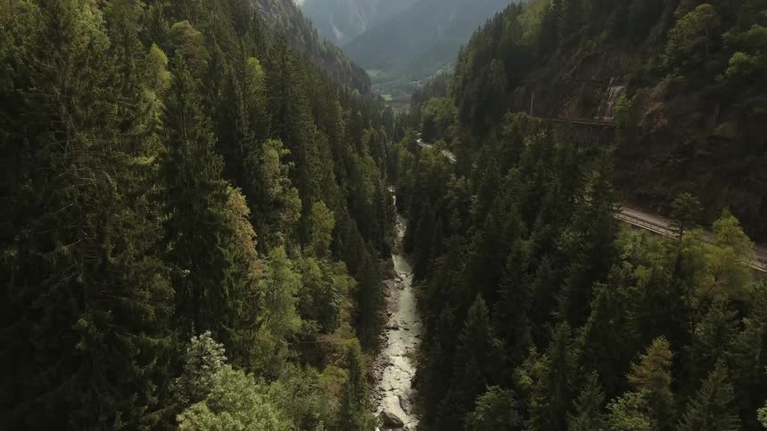 A stream runs along a mountain covered with trees