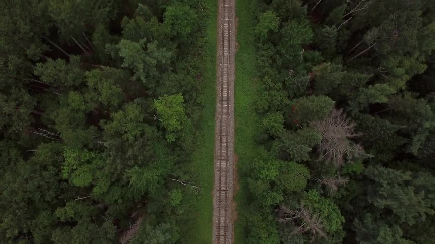 A train track through a forest