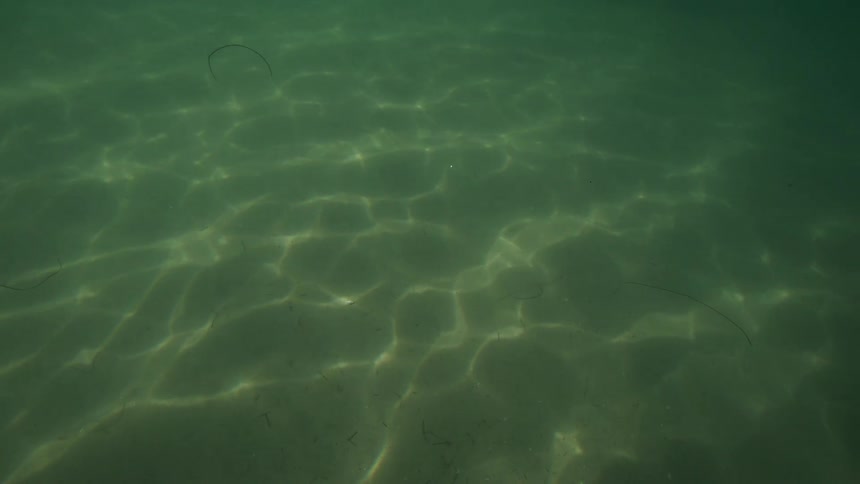 View from inside the sea of sunlight reflecting on waves in the sandy ocean floor